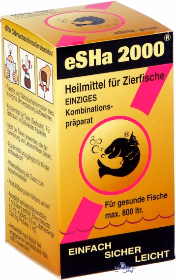 eSHa 2000