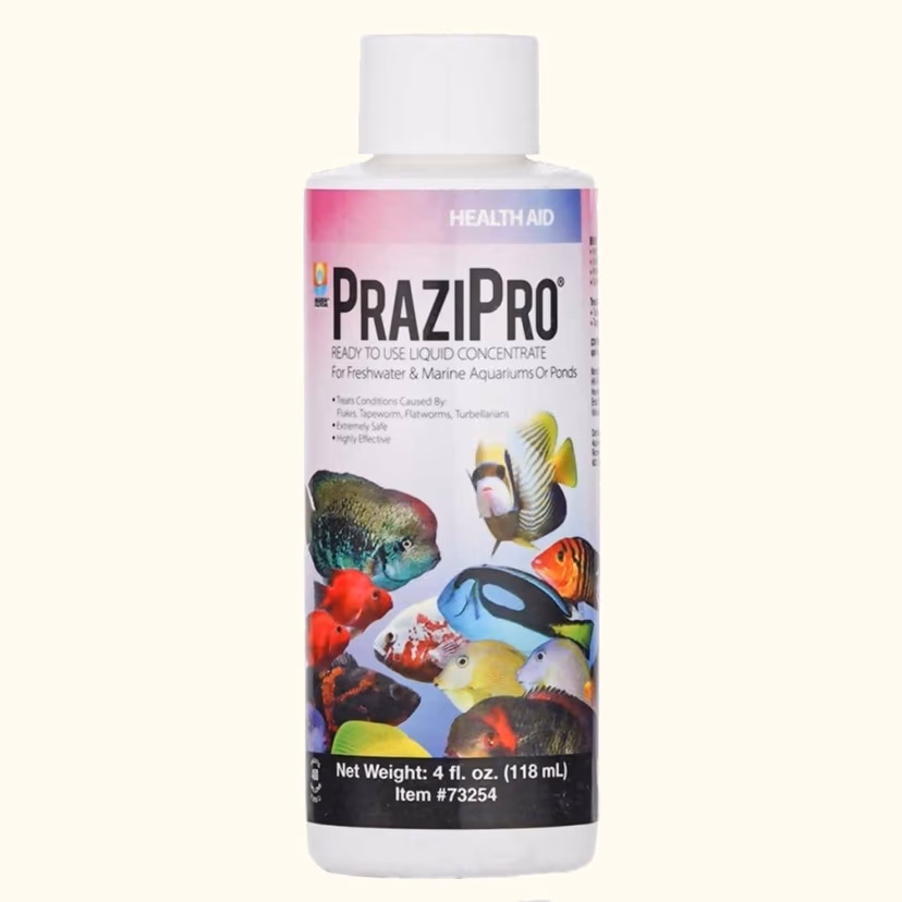 Praziquantel