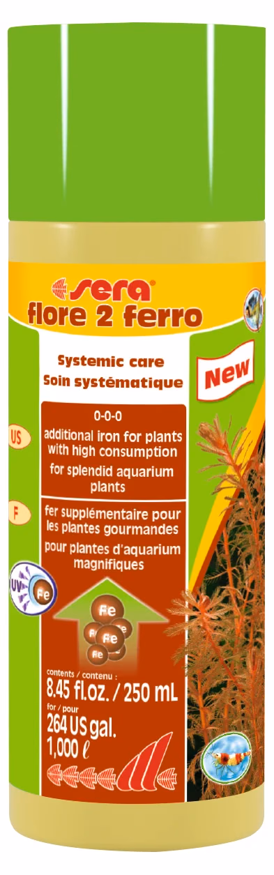 Flore 2 Ferro