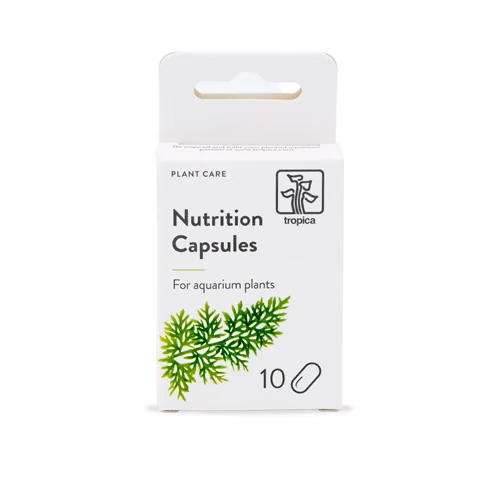 Nutrition Capsules