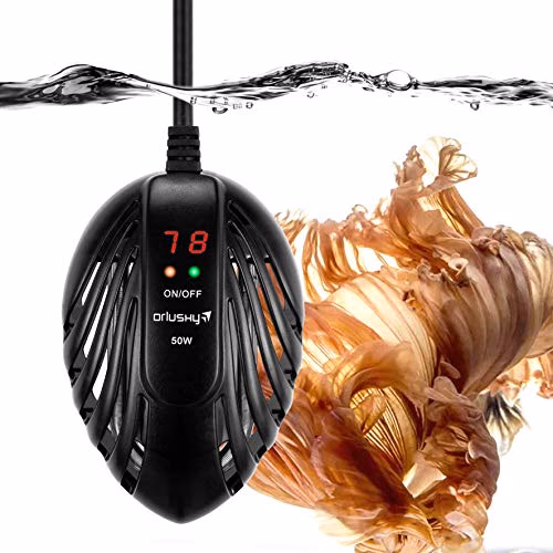 Orlushy Submersible 50W