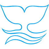 Ciano logo
