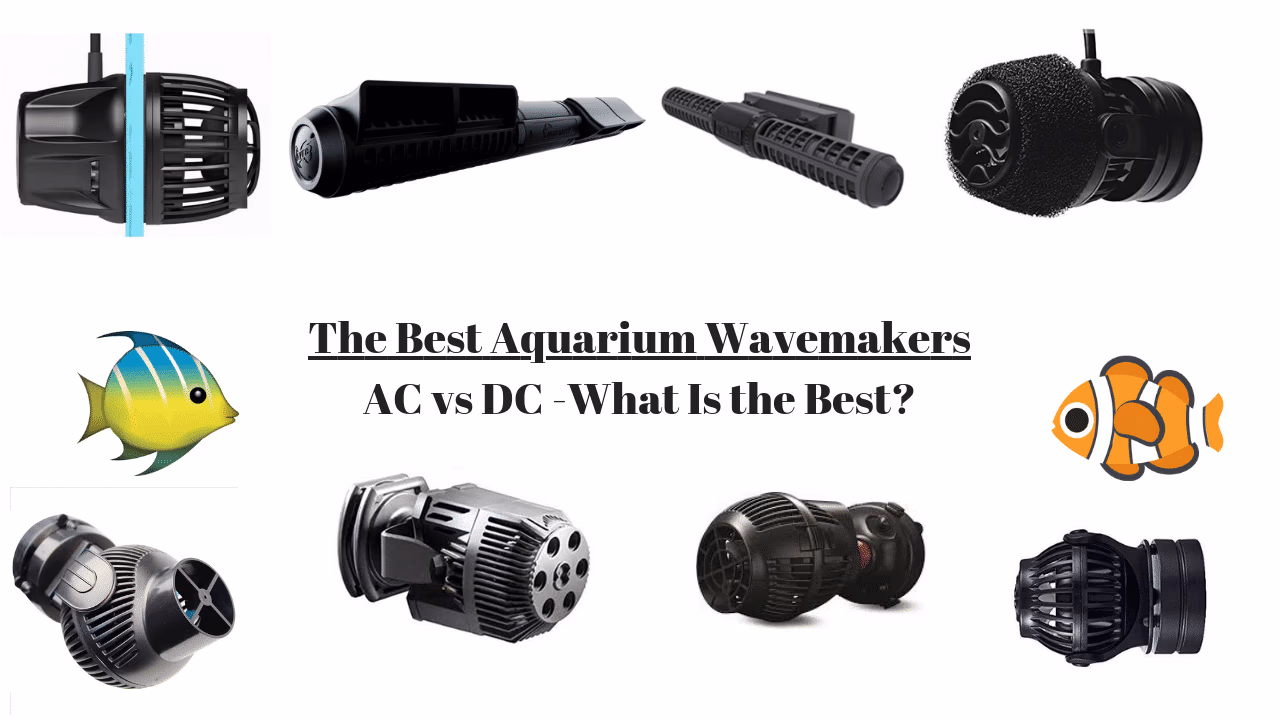 Grech GW-3 Wavemaker