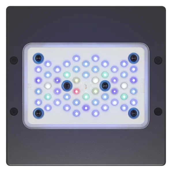 EcoTech Marine Radion XR15 G5 Blue