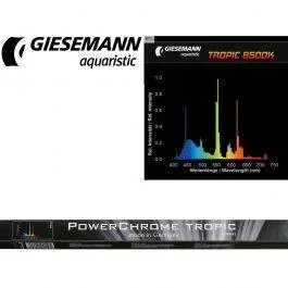 Giesemann Powerchrome Tropic 24W