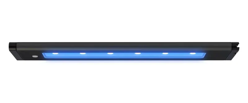 Aqua Illumination Blade Coral Glow 21in