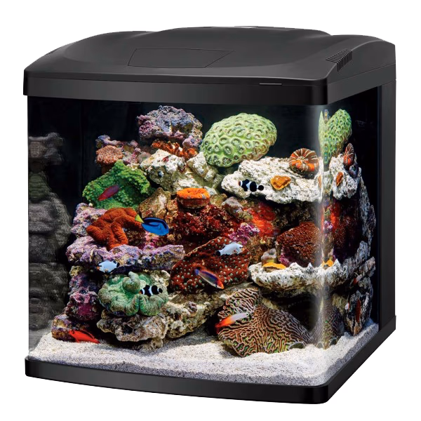 Coralife Biocube 16 Aquarium