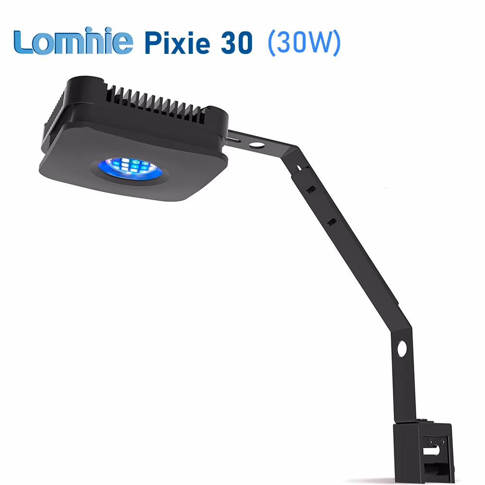 Lominie Pixie 30 Freshwater LED